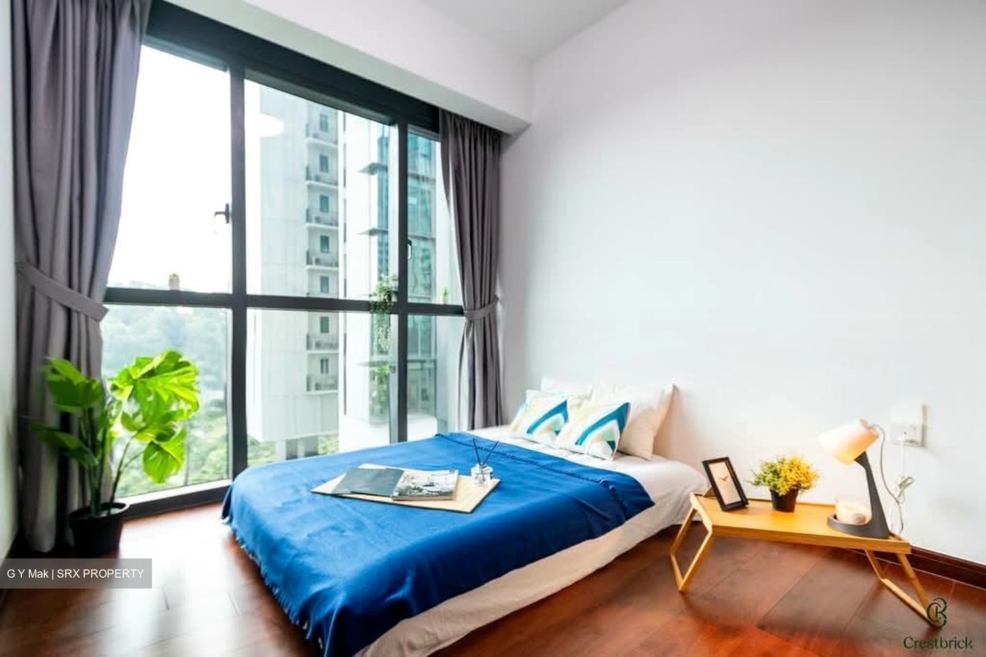 Normanton Park (D5), Apartment #554817351